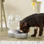 Petmate Replendish Gravity Waterer With Microban for Cats and Dogs, 2.5 Gallons