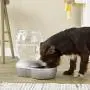 Petmate Replendish Gravity Waterer With Microban for Cats and Dogs, 1 Gallon Petmate Replendish Gravity Waterer With Microban for Cats and Dogs, 1 Gallon