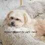Calming Dog Bed & Cat Bed, Anti-Anxiety Donut Dog Cuddler Bed, Warming Cozy Soft Dog Round Bed, Fluffy Faux Fur Plush Dog Cat Cushion Bed for Small Medium Dogs and Cats (20''/24''/27'') Calming Dog Bed & Cat Bed, Anti-Anxiety Donut Dog Cuddler Bed, Warming Cozy Soft Dog Round Bed, Fluffy Faux Fur Plush Dog Cat Cushion Bed for Small Medium Dogs and Cats (20''/24''/27'')