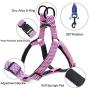 Hikiko Dog Harness and Leash Set,No Pull Adjustable Soft Pet Harness Vest Set with 4FT Training Dog Leash Easy to Control Suitable for Small Medium Large Dogs