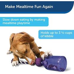 PetSafe Busy Buddy Tug-A-Jug Meal-Dispensing Dog Toy