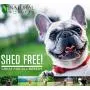 Pet Shampoo & Conditioner, Shed Free 2-in-1, Oatmeal and Honey, Organic, Hypoallergenic, Vegan, Natural Extract, for Healthy Skin & Coat, 32 Fl Oz, for Dry Itchy Skin, All Breeds, by Natural Wunderz