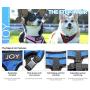 Joy Small Dog Adjustable Harness - No Pull Vest Harnesses for Small Dogs & Cats - Comfortable & Soft Mesh Pet Walking Accessory for Small Breed Puppy - Heavy Duty Front Lead