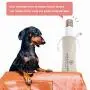N Pawtrender Dog Nail Grinder Spuer Quiet with 3 Port Painless Paws Grooming & Grinding Tool for Small Medium Large Dogs & Cats Cordless Electric Dog Nail Trimmers with 18 Working Hours Rechargeable N Pawtrender Dog Nail Grinder Spuer Quiet with 3 Port Painless Paws Grooming & Grinding Tool for Small Medium Large Dogs & Cats Cordless Electric Dog Nail Trimmers with 18 Working Hours Rechargeable