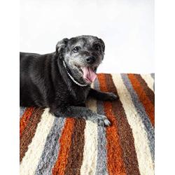 Botanical Pets Premium Dog and Cat Scratcher Mat Brown (Large) Eco-Friendly Made with Natural Vegetable Fiber That Dogs, Kittens and Cats Love.