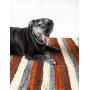 Botanical Pets Premium Dog and Cat Scratcher Mat Brown (Large) Eco-Friendly Made with Natural Vegetable Fiber That Dogs, Kittens and Cats Love.