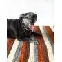 Botanical Pets Premium Dog and Cat Scratcher Mat Brown (Large) Eco-Friendly Made with Natural Vegetable Fiber That Dogs, Kittens and Cats Love.