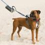 The Poop Caddy Leash n Go, Dog Waste Bag Holder, Hands-Free Dog Walking Leash Accessory