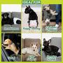 Disposable Dog Diapers with FlashDry Gel Technology - M, 32 Count