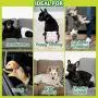 Disposable Dog Diapers with FlashDry Gel Technology - M, 32 Count