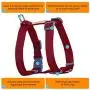 AdventureMore,Comfort Harness & Bungee Leash Set,Nylon,Reflective Adjustable Harness,Shock Absorbing Double Handle Leash XXL Red AdventureMore,Comfort Harness & Bungee Leash Set,Nylon,Reflective Adjustable Harness,Shock Absorbing Double Handle Leash XXL Red