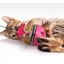 ocijf179 Cat Teaser Feeder Ball Cat Kitten Funny Tumbler Slow Eating Food Leak Dispenser Feeder Ball Teaser Toy - Blue