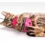 ocijf179 Cat Teaser Feeder Ball Cat Kitten Funny Tumbler Slow Eating Food Leak Dispenser Feeder Ball Teaser Toy - Blue ocijf179 Cat Teaser Feeder Ball Cat Kitten Funny Tumbler Slow Eating Food Leak Dispenser Feeder Ball Teaser Toy - Blue