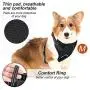 Dog Harness No Pull Reflective: Adjustable Pet Puppy Harness with 2 Leash Clips Comfortable Padded Dog Vest, Easy Control Handle for Small Medium Large Dogs Training, Outdoor Running Walking,M