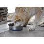 OurPets Premium DuraPet Dog Bowl