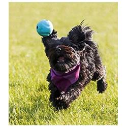 ChuckIt! Fetch Ball Medley Trio, Small, 3 Pack