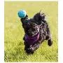 ChuckIt! Fetch Ball Medley Trio, Small, 3 Pack ChuckIt! Fetch Ball Medley Trio, Small, 3 Pack