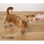 Petio Pet Toothbrush Toy [Ball (S)] (Japan Import)