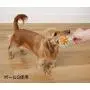 Petio Pet Toothbrush Toy [Ball (S)] (Japan Import)
