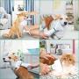 PETRIP Dog Hair Dryer Pet Dryer Professional Grooming Blower Dog Slicker Brush for Medium Small Dog Cat