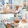 PETRIP Dog Hair Dryer Pet Dryer Professional Grooming Blower Dog Slicker Brush for Medium Small Dog Cat
