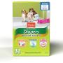 Disposable Dog Diapers with FlashDry Gel Technology - M, 32 Count