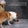 Dog Bowls Stainless Steel Cat Bowls and Water Food Feeder with Non Spill Skid Resistant 15° Slanted Bowl for Dog Puppy Cat and Kitten Dog Bowls Stainless Steel Cat Bowls and Water Food Feeder with Non Spill Skid Resistant 15° Slanted Bowl for Dog Puppy Cat and Kitten