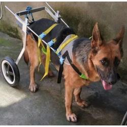 New! Two Wheels Adjustable Dog Wheelchair, cart, 7 Sizes for hind Legs Rehabilitation, 3D Soft Harness,Light Weight, Easy Assemble, Belly Band Specially for Spondylitis