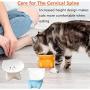 Cat Bowl,Raised Cat Food Bowls Anti Vomiting,Tilted Elevated Cat Bowl,Ceramic Pet Food Bowl for Flat-Faced Cats,Small Dogs,Protect Pets Spine,Dishwasher Safe