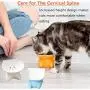 Cat Bowl,Raised Cat Food Bowls Anti Vomiting,Tilted Elevated Cat Bowl,Ceramic Pet Food Bowl for Flat-Faced Cats,Small Dogs,Protect Pets Spine,Dishwasher Safe Cat Bowl,Raised Cat Food Bowls Anti Vomiting,Tilted Elevated Cat Bowl,Ceramic Pet Food Bowl for Flat-Faced Cats,Small Dogs,Protect Pets Spine,Dishwasher Safe