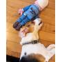 FUZZU Joe V. Mike Set/2 Dog Toys, Joe (12'' Size) + Mike (17'' Size)