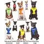 Dexil Limited Adopt ME (I Need A New Home) Yellow Color Coded Non-Pull Front and Back D Ring Padded and Waterproof Vest Dog Harness Prevents Accidents by Warning Others of Your Dog in Advance Dexil Limited Adopt ME (I Need A New Home) Yellow Color Coded Non-Pull Front and Back D Ring Padded and Waterproof Vest Dog Harness Prevents Accidents by Warning Others of Your Dog in Advance