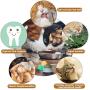 Nuanchu 2 Pieces Catnip Wall Ball Toys Rotatable Snack Edible Balls Cat 4-1 Removable Licking Catnip Balls Chewing Cleaning Teeth Toy for Cats Kitten Kitty