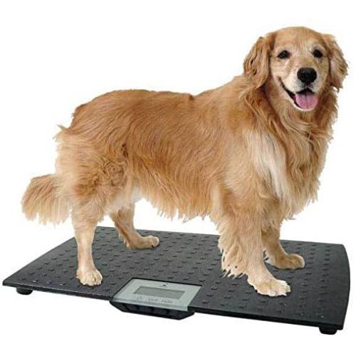 WC Redmon Precision Digital Pet Scales Professional Dog Groomer Vet Shelter - Choose Size(Large - Up to 225 lbs)