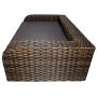 Iconic Pet Rattan/Wicker Pet Sofa Bed - Sofa Made of Woven Palm Stems of Rattan with Metal Frame, Indoor/Outdoor Sofa and Water Resistant Cushion Cover, Elegant Pet Bed for Dogs/Cats up to 50 lbs