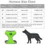 Puppy Harness and Leash Set - Dog Vest Harness for Small Dogs Medium Dogs- Adjustable Reflective Step in Harness for Dogs - Soft Mesh Comfort Fit No Pull No Choke (XS, Light Green)