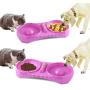 Double Bowls Feeding Station - Slow Feeder Dog Bowl - 2 in 1 Food Water Feeder - Anti Choke Interactive Bloat Stop Cat Bowl - Non Slip Feeding Bowls Anti-Static & Anti-Dust Eating Drinking Pet Bowls