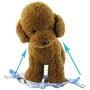 Wiz BBQT Adjustable Breakaway Flower Printed Dog Cat Pet Harness and Leash Set for Dogs Cats Pets