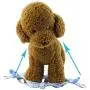 Wiz BBQT Adjustable Breakaway Flower Printed Dog Cat Pet Harness and Leash Set for Dogs Cats Pets