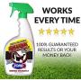 ZorbX Unscented Extra Strength Skunk Odor Remover – Safe for All, Even Pets and Children, with No Harsh Chemicals, Perfumes or Fragrances, Stronger and Safer Skunk Odor Remover Works Instantly and Can