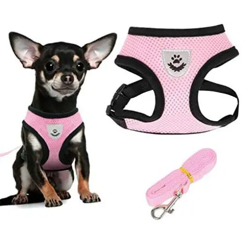Soft Mesh Dog Harness Vest, Small Dog Harness, Night Reflective Adjustable Mesh Harness with Padded Vest and Leash(Pink) Soft Mesh Dog Harness Vest, Small Dog Harness, Night Reflective Adjustable Mesh Harness with Padded Vest and Leash(Pink)