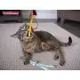 Petlinks Play Pack Cat Petlinks Play Pack Cat