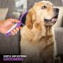Soft Bristle Dog Brush for Short Haired Cats Or Dogs - Firm Bristles to Remove Dust, Dirt, and Loose Fur - Hook and Rubber Handle