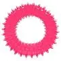 Creative Pet Group Murphy & Roxy Pets Non-Toxic, Pet-Friendly Dental Ring, Fuchsia, small Creative Pet Group Murphy & Roxy Pets Non-Toxic, Pet-Friendly Dental Ring, Fuchsia, small