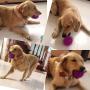 Squeaker Ball Dog Toy, TPR, Bouncy, Floating, Teeth Cleaning, 3.35'' Diameter, for Medium and Small Dogs - Random Colour