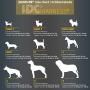 Julius-K9, IDC PowerHarness with Side Rings for Dogs