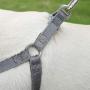 DOGNESS Comfortable Series - Harness and Leash Sets - Adjustable Lengths, Soft,Sustainable and Eco-Friendly Cotton for Small and Medium and Large Dogs Training, Walking, Running