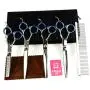 LILYS PET Professional PET Dog Grooming Scissors Suit,RED/Blue Ring, Cutting&Curved&Thinning Shears LILYS PET Professional PET Dog Grooming Scissors Suit,RED/Blue Ring, Cutting&Curved&Thinning Shears