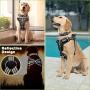 WINSEE Dog Harness and Collar Set for Large Dogs Black, Reflective Adjustable Step in Dog Halter Harnesses no Pull with Cobra Buckle Dog Collar Heavy Duty, Soft Padded Pet Vest Walking Harness