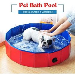 Zology Foldable Dog Pet Bath Pool Collapsible Dog Pet Pool Bathing Tub Kiddie Pool for Dogs Cats and Kids